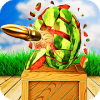 Watermelon Shooting Target Shooting King 2k18