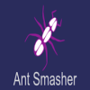 Ant Smasher-Kill the ant, mosquito and ghosts加速器