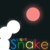 Light Snake加速器