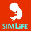 BitLife加速器