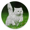 Jigsaw Image Puzzle加速器