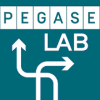 PégaseLAB加速器