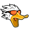 Fly Hi