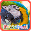 Wild Animal Preschool Games加速器