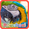 Wild Animal Preschool Games