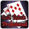 Call Break Profesional加速器