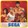 Streets of Rage 2 Classic加速器