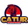 Catur Chess Indonesia Offline加速器