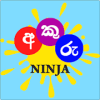 Akuru Ninja加速器