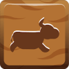 BuffaloRun