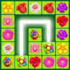 Onet Flower: Blossom Paradise加速器