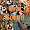 Animals Roar Sound Demo加速器