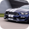 Mustang Car Drift Simulator