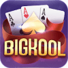 Bigkool 2019加速器