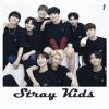 STRAY KIDS: Matching Game