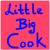 little big cook pizza z