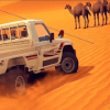 كنج الهجولة
