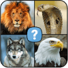 Animals quiz: Mammals, Reptiles, Birds, Fishes