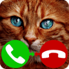 fake call cat game加速器