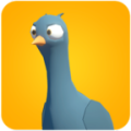 Pigeons Attack