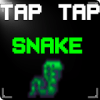 TAP TAP SNAKE加速器