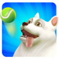 Dog-Go