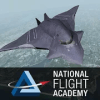 National Flight Academy加速器