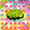 Lotus Garden Flowers - New Blossom Crush Game