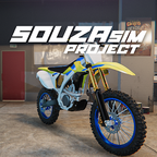 SouzaSim Project加速器