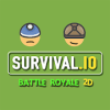 Survival io 2D Battle Royale加速器
