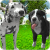 Dog Simulator 3D加速器