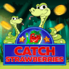 Catch the Strawberry加速器