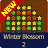 Winter blossom 2