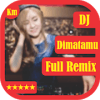 DJ Dimatamu