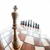 Chessman: One vs All加速器