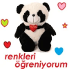 Renkleri Ogreniyorum加速器