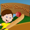 Ball Spring