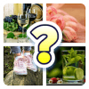 4 PICTURES : GUESS 1 WORD加速器