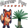 Runner Foxy加速器