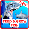 Feed and Grow : Fish Adventure加速器