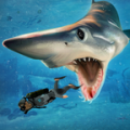 Shark Simulator 2018加速器