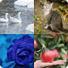 guess in tiles