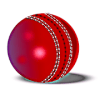 Hit Cricket - Mobile Premier League