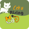 Ceku Rising Cat, Cat Protect加速器