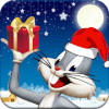 Looney Bunny: Toons Run Dash加速器