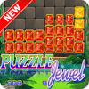 New Puzzle Jewel Crush pro加速器