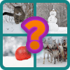 Xmas and New Year 2019 Quiz