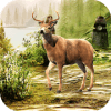Wild Animal Deer Hunter Shooting FPS 2019加速器