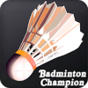 Real Badminton 3D加速器