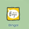 Bingo Message加速器